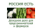 ООО "Промышленные и бытовые гидропонные системы"